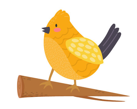 Branch with chicken. Vector illustration.