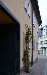 Historical Building in the Resort Bad Berka, Thuringia