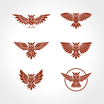 owl logo set logo design template