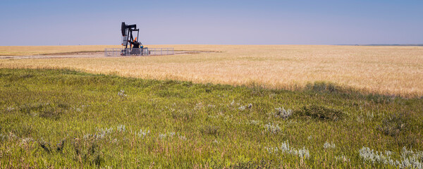 Nostalgic prairie landscape with pumpjack pumping oil in the wheat field