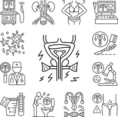Bladder urethra icon in a collection with other items
