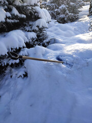 A lot of snow has fallen. A shovel in a snowdrift near the Christmas tree with copy space. The first snow. Winter is coming concept. Winter in the village.