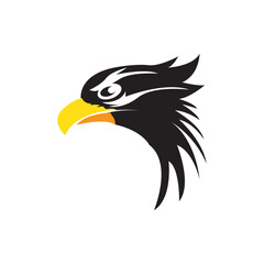Bird falcon and  logo design, eagle or hawk badge emblem