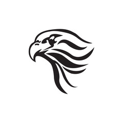 Bird falcon and  logo design, eagle or hawk badge emblem