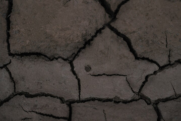 Obraz premium Dried cracked earth soil ground texture background. Cracked soil.