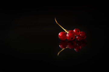Fototapeta na wymiar A red currant is placed on a black mirror background