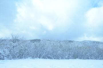 日本の雪山風景