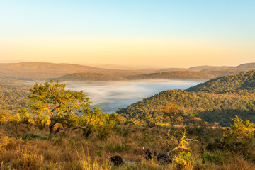 A spectacular morning view over a foggy valley, Hluhluwe – imfolozi Game Reserve, South Africa.