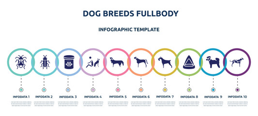 dog breeds fullbody concept infographic design template. included pyrrhocoridae, red soldier beetle, pet food, dog and man seating, bernese mountain dog, bullmastiff, miniature schnauzer, cat
