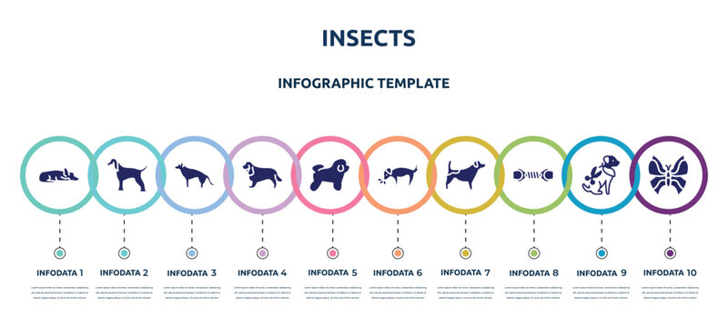 insects concept infographic design template. included sad dog, afghan hound, german sheperd, english cocker spaniel, bichon frise, dog smelling dog, jack russel terrier, pet toy, leaf butterfly