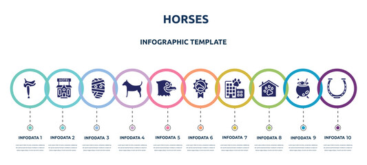 horses concept infographic design template. included horse saddle, pets hotel, mummy, plain dog, eagle, horse races badge, hotel building, pet hotel, horseshoe icons and 10 option or steps.