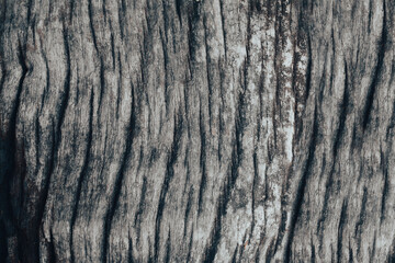 gray wood pattern  texture  background