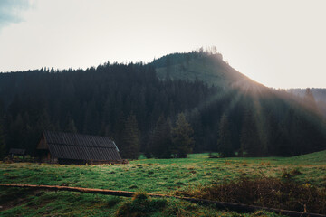 Poranek w Dolinie Chochołowskiej © Marcin