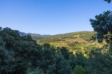 Montagnes et vignobles autour de l'Orb au Hameau de Ceps à Roquebrun, dans le Parc naturel régional du Haut-Languedoc