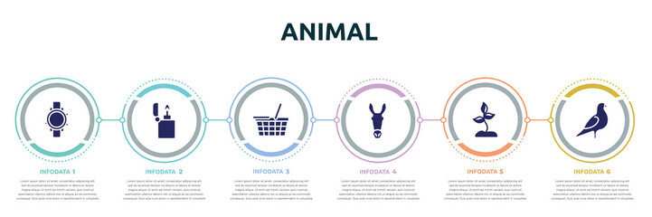 animal concept infographic design template. included diving watch, lighter, food basket, donkey, soil, pigeon icons and 6 option or steps.