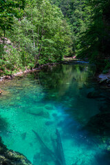 Beautiful view of the turquoise transparent stream water in Vintgar Gorge near Lake Bled in summer, Upper Carniola, Slovenia - 520163024