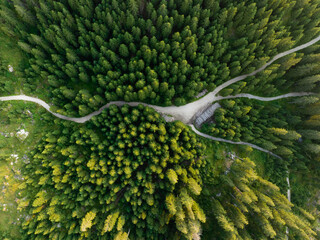 View from above, stunning aerial view of a beautiful mountain forest with a dirt road in the...