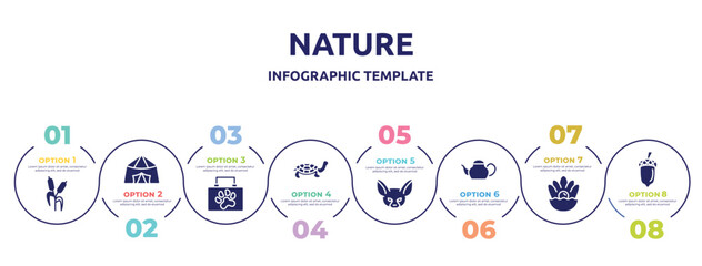 nature concept infographic design template. included bulrush, jaima tent, animal aid, tortoise, fennec, teapot, pearl, acorn icons and 8 option or steps.