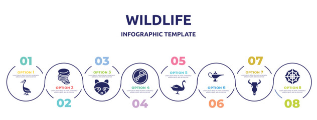 wildlife concept infographic design template. included pelican, tornado, racoon, no cut, swan, magic lamp, bull skull, spider web icons and 8 option or steps.