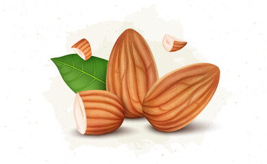 Fresh almond Nuts vector illustration with half piece of almond broken pieces and green leaf 