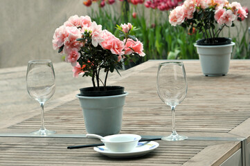 still life with flowers and glasses