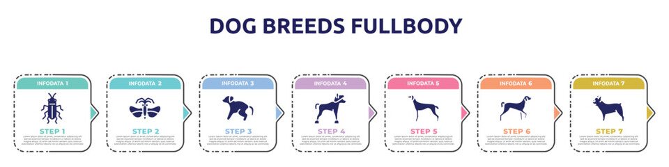 dog breeds fullbody concept infographic design template. included red soldier beetle, strepsiptera, scold the dog, chinese crested, greyhound, kurzhaar, french bulldog icons and 7 option or steps.