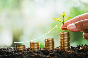 hand holding money putting on coins stack with plant growth