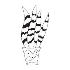 Cute doodle cactus in a flower pot, houseplant vector illustration