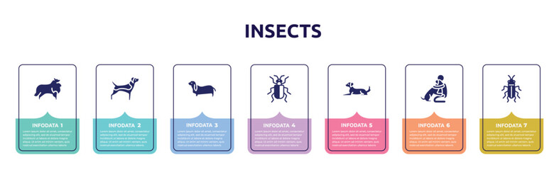 insects concept infographic design template. included sheltie, beagle, bas hound, asparagus beetle, dog lying, hughing dog, red soldier beetle icons and 7 option or steps.