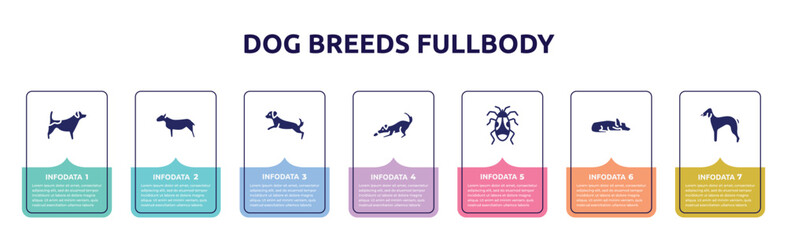 dog breeds fullbody concept infographic design template. included jack russel terrier, bullterrier, dog scaping, dogs playing, pyrrhocoridae, sad dog, bedlington terrier icons and 7 option or steps.