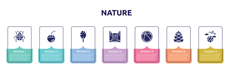 nature concept infographic design template. included ladybird, coconut water, cotton candy, cataract, beach ball, pine cone, atmosphere icons and 7 option or steps.