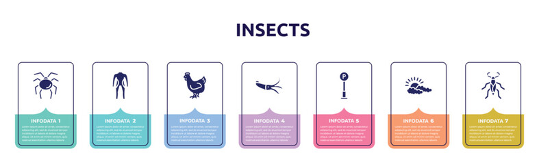 insects concept infographic design template. included opiliones, diving suit, hen, squid, , cloudy, water scorpion icons and 7 option or steps. © VectorStockDesign