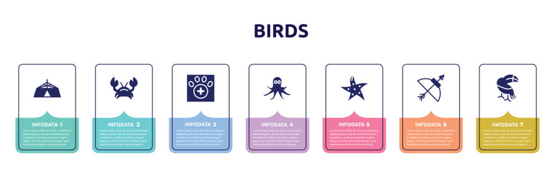 birds concept infographic design template. included jaima tent, crab, veterinarian, octopus, starfish, bow and arrow, toucan icons and 7 option or steps.