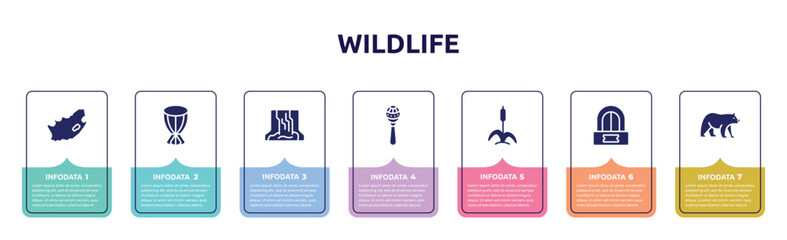 wildlife concept infographic design template. included south africa, african drum, waterfall, maracas, cattail, ticket office, carnivore icons and 7 option or steps.
