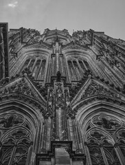 Dom