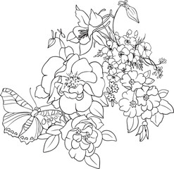 Floral bouquet with a butterfly coloring book hand vector