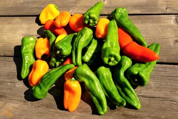 夏野菜　収穫　ピーマン