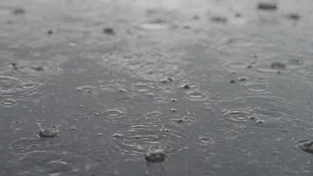 Slow motion closeup of summer heavy rain drops falling into puddles on asphalt
