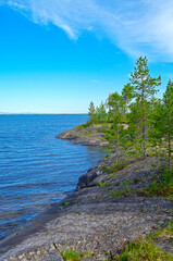 Fototapeta na wymiar Pine trees on the granite shore of the polar lake
