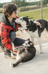 teen boy petting a purebred siberian husky dog outdoors in a kennel or dog farm. High quality photo