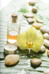 Yellow orchid with stones and candle with big leaves with bottle spa oil on wet drop background.