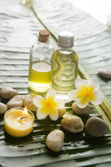 Yellow frangipani with stones and candle with big leaves with bottle spa oil on wet drop background.