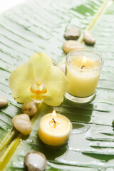 Yellow orchid with stones and candle with big leaves on wet drop background.