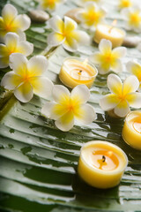 Yellow frangipani with stones with candle , big leaves on wet drop background.