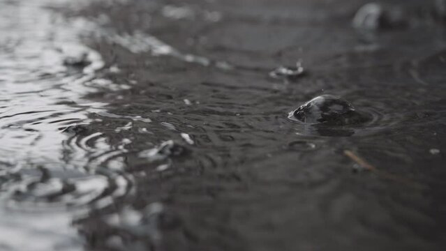 Slow motion closeup of summer rain falling into big puddle on asphalt