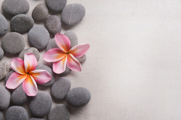 frangipani and zen like grey stones with copy space on gray background