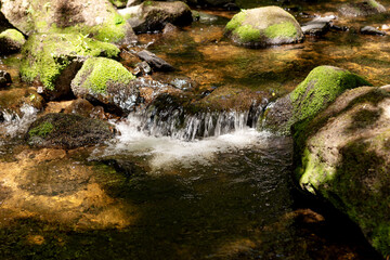 Water flows over the stones of green moss in the forest