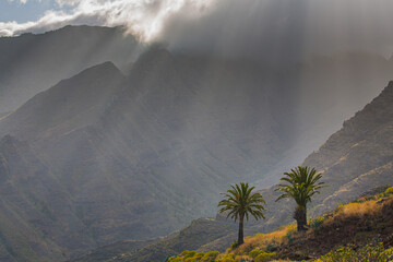 Backlit mountain landscape with deep valleys and palm trees on La Gomera, Spain