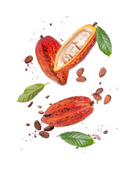Red cocoa fruit, cacao beans with cocoa nibs and chocolate powder flying in the air isolated on...