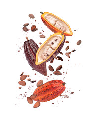 Cocoa fruit, cacao beans with cocoa nibs and chocolate powder flying in the air isolated on white...